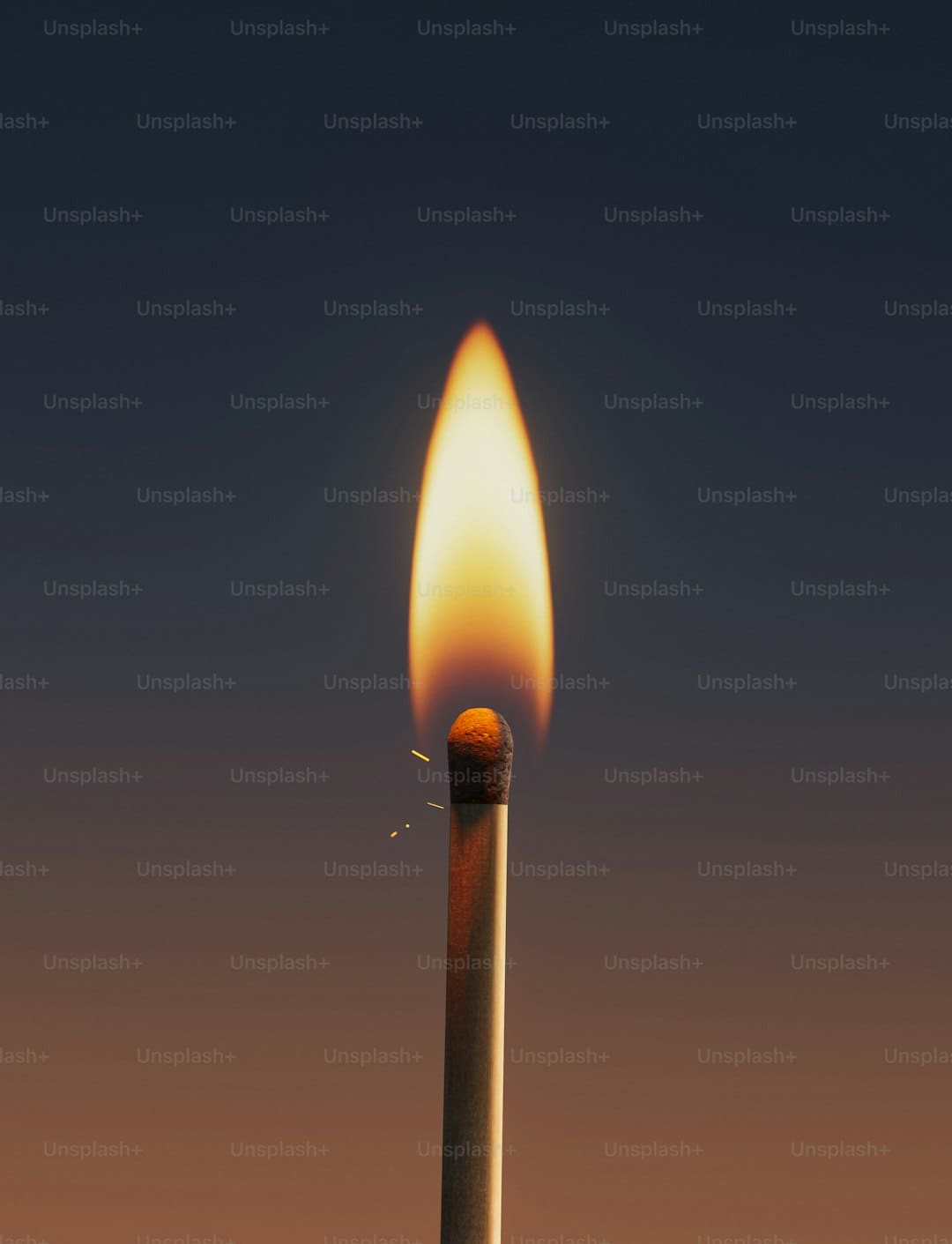 《游览2+N》：与圈内老友一起动身，游览的惊喜正在路上